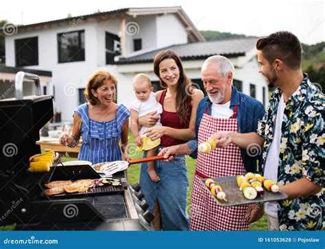 family strokes download|Family Barbecue .